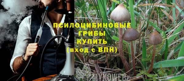 ALPHA-PVP Гусев