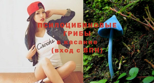 стаф Горно-Алтайск