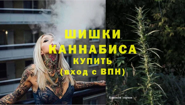 хмурый Гусь-Хрустальный