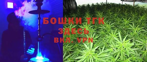 хмурый Гусь-Хрустальный