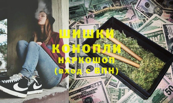 хмурый Гусь-Хрустальный