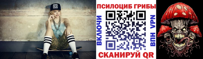 Купить  Инсар  Галлюциногенные грибы Magic Shrooms 
